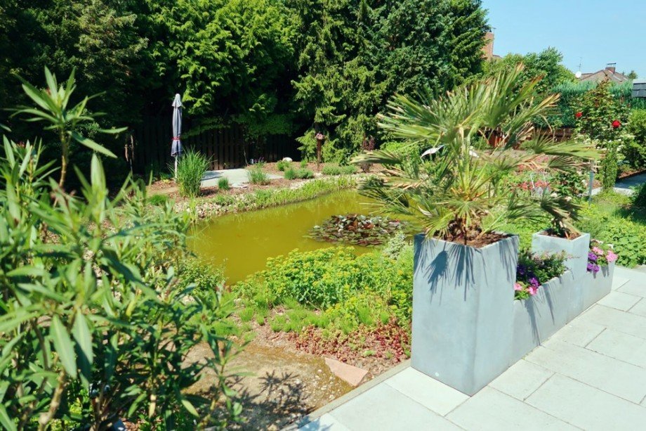 Terrasse Blick Garten Einfamilienhaus Wagenhoff
