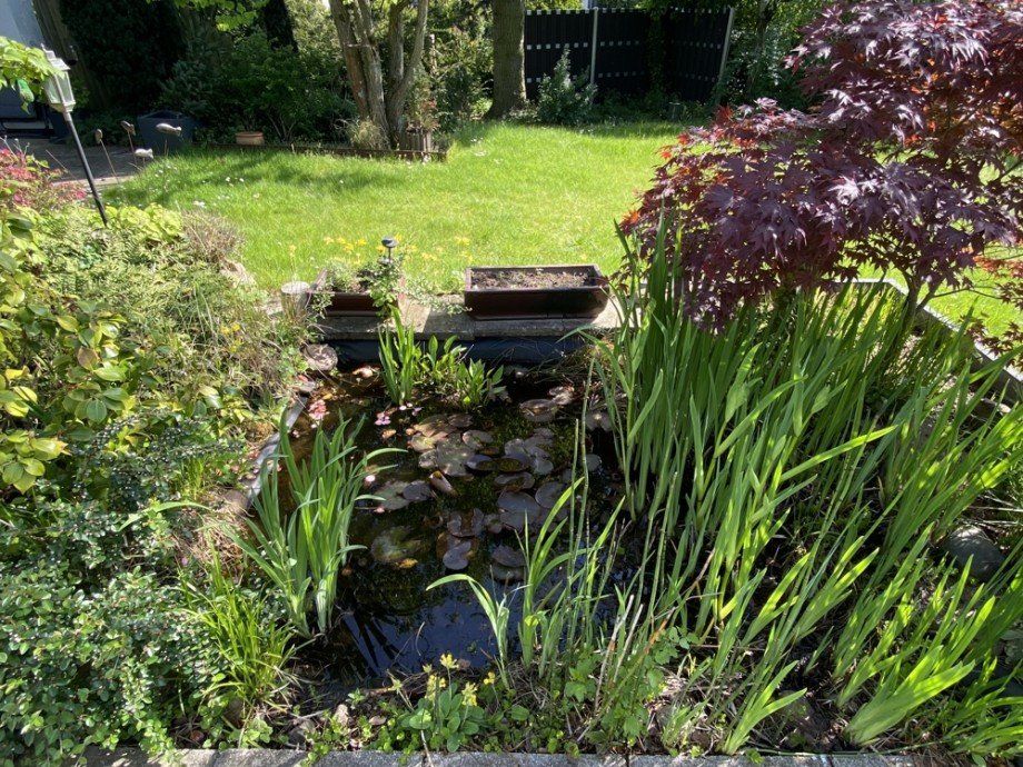 Gartenteich Einfamilienhaus Wolfsburg / Vorsfelde