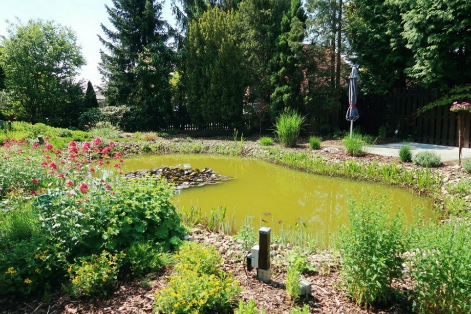 Gartenteich Einfamilienhaus Wagenhoff