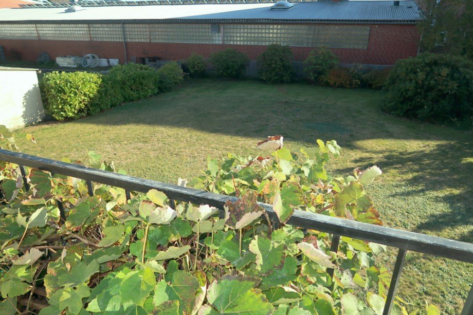 Blick Garten Einfamilienhaus Gifhorn