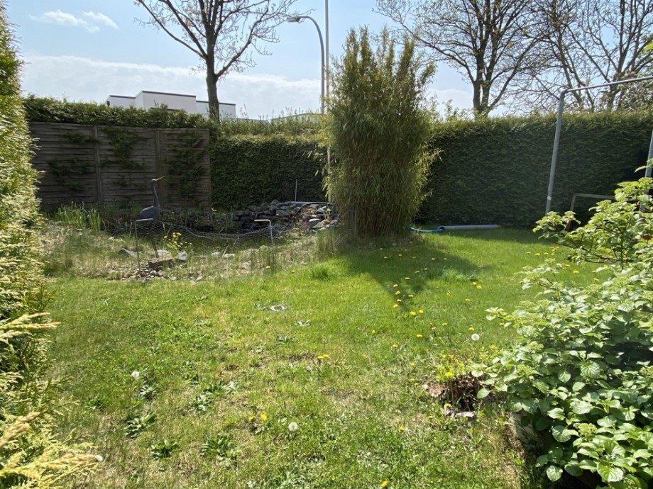 Rasenfl�che Teich Einfamilienhaus Meine / Bechtsb�ttel