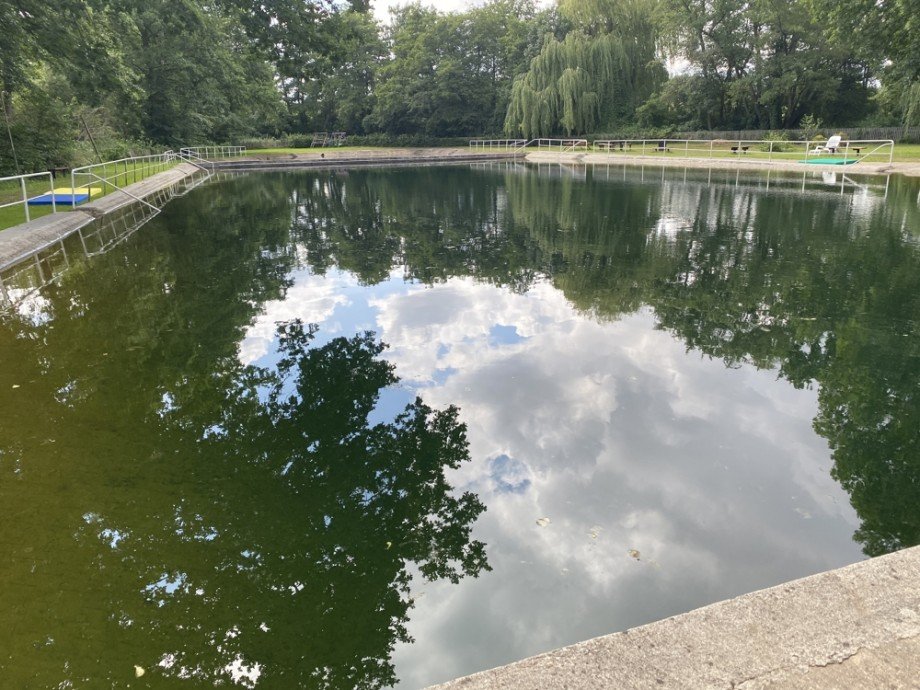 Schwimmbecken im Ort Einfamilienhaus Walbeck