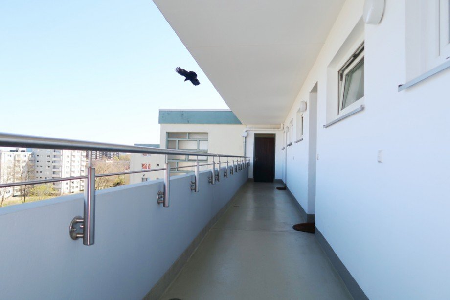 Laubengang Etagenwohnung Braunschweig / Weststadt