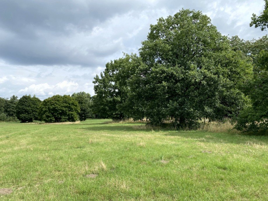 Natur nebenan Reihenhaus Wolfsburg / Detmerode