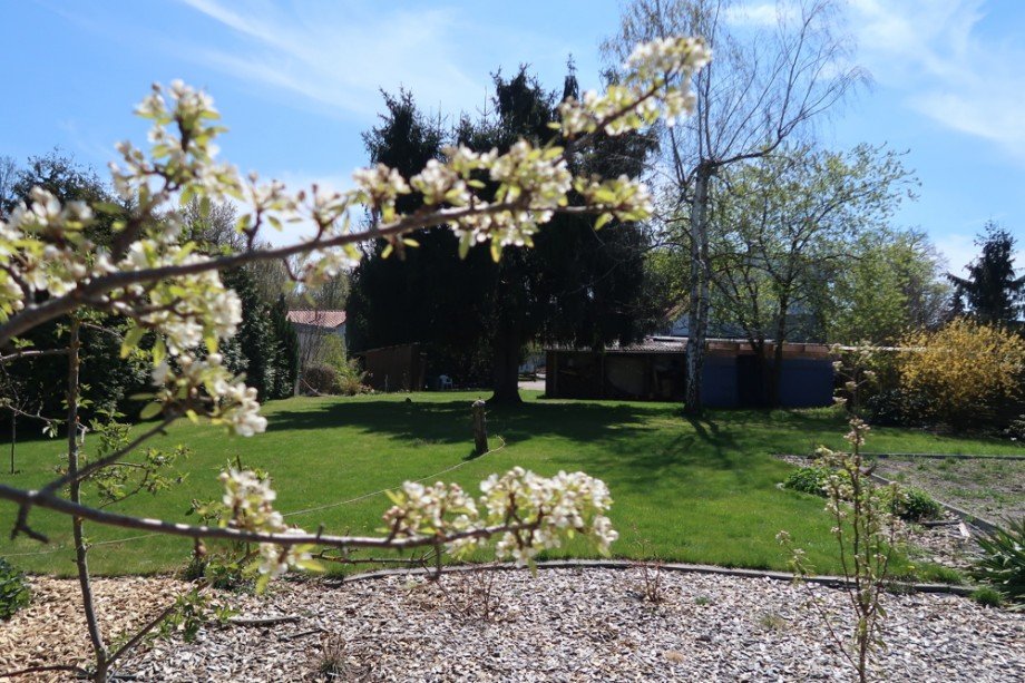 Gartenblick von Norden Doppelhaush�lfte Gifhorn