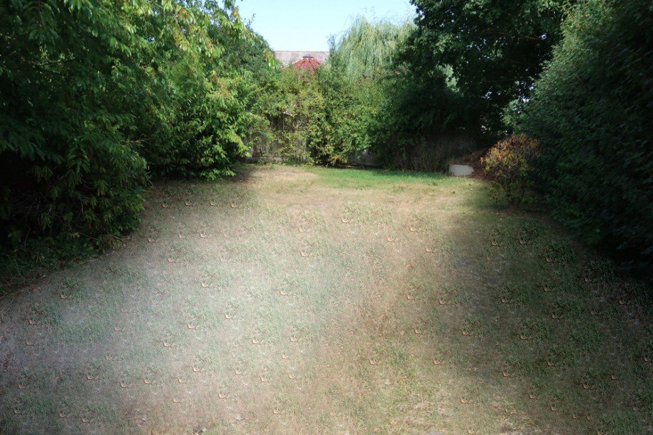 Garten hinten Einfamilienhaus Leiferde