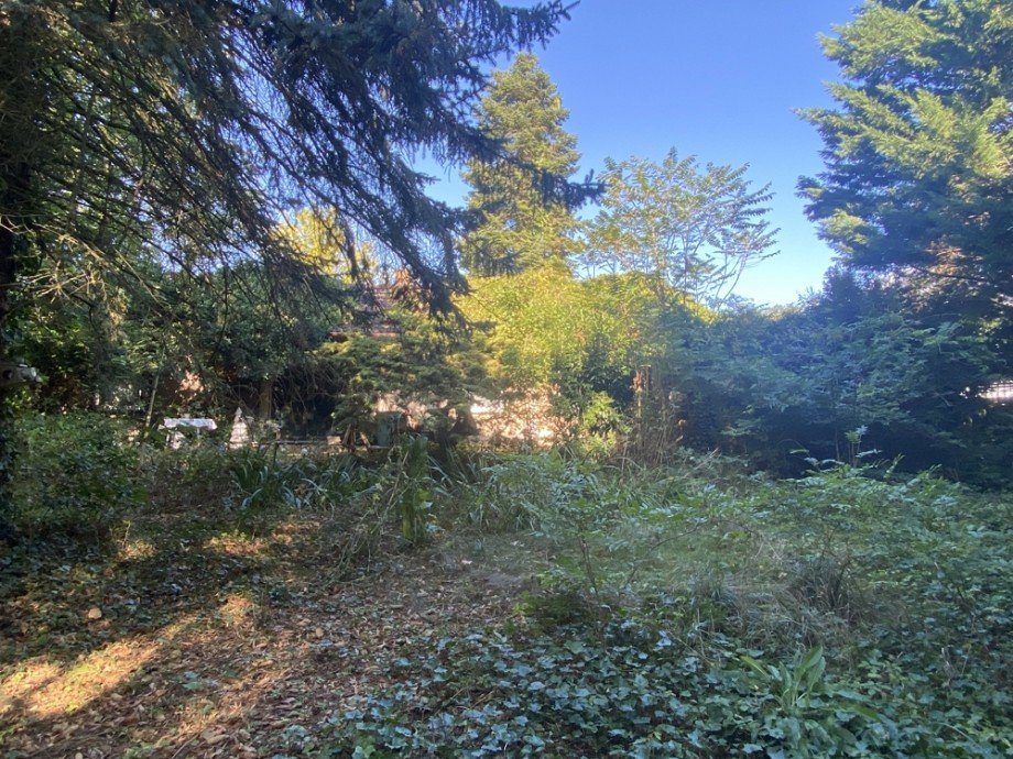 Garten Blick zum Haus Wohngrundst�ck Wolfsburg