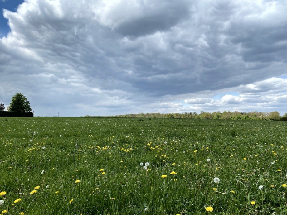 Blick nach Westen Mehrfamilienhaus Danndorf