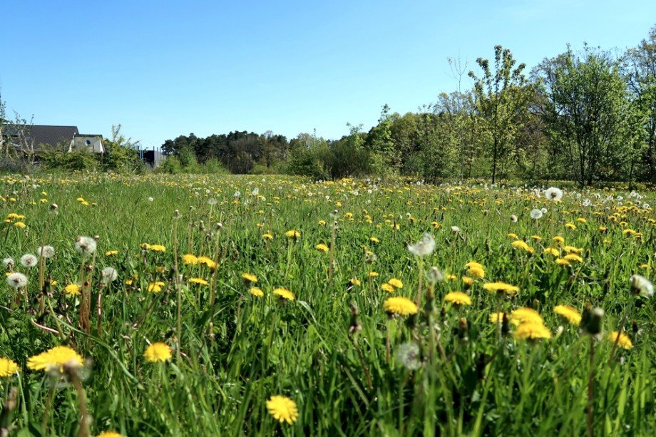 Natur nebenan Doppelhaush�lfte Danndorf
