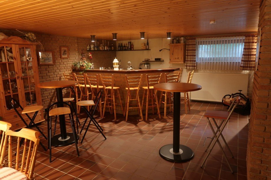 Partykeller Einfamilienhaus Wolfsburg