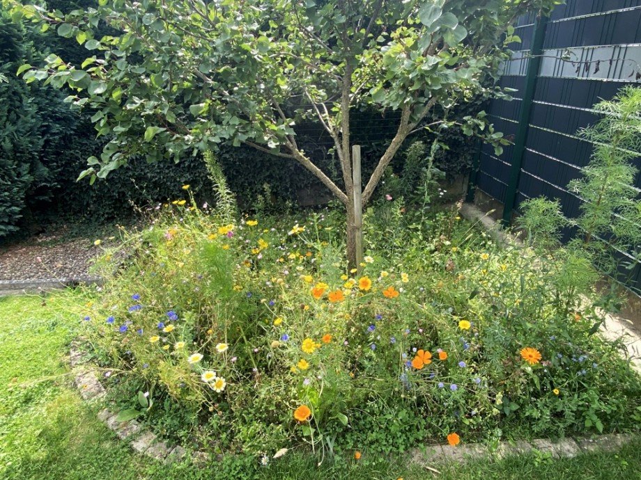 Lebensfreude Blumen Bungalow R�hen
