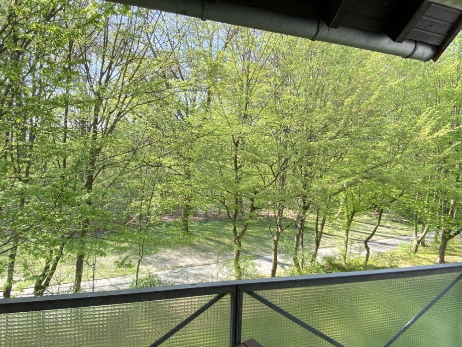 Loggia Blick Etagenwohnung Wolfsburg / Tiergartenbreite
