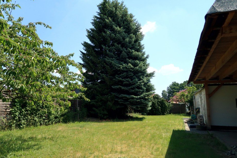 AX- Garten Blick nach Osten Einfamilienhaus Wolfsburg
