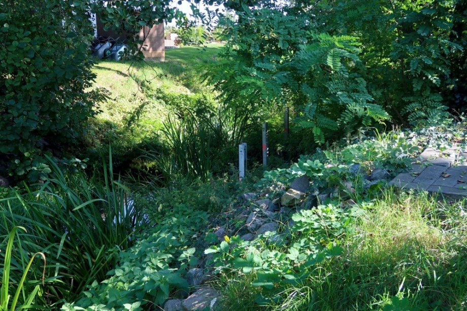Bach Natur pur Einfamilienhaus Isenb�ttel