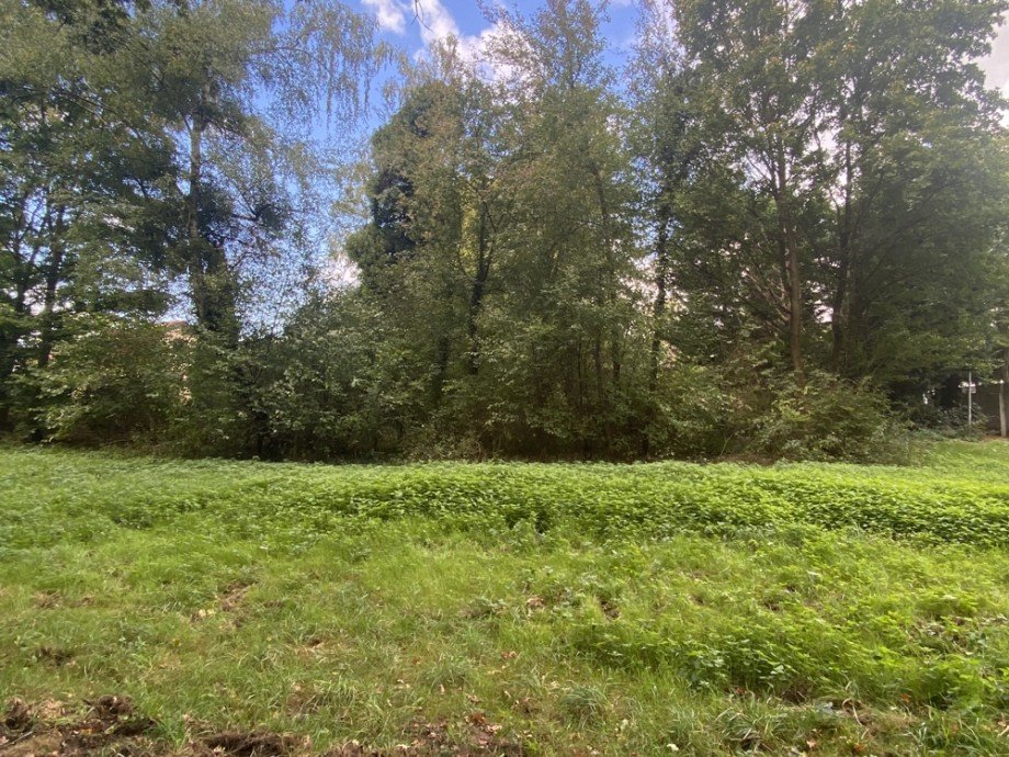 Grundst�cksgrenze Baumreihe Einfamilienhaus Wolfsburg