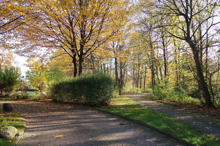 Fu�Radweg Innenstadt WOB Wohnung Wolfsburg