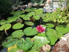 Gartenteich **possiel makes it possible** Minivilla im Stil einer Reihenhauswohnung!