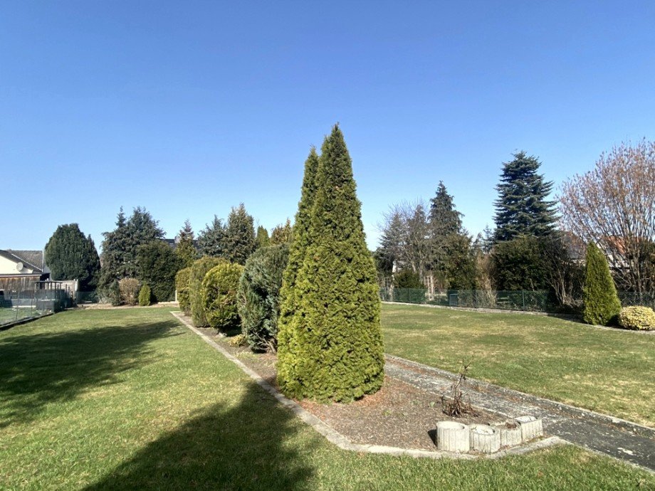 Garten Blick nach Nordwest Einfamilienhaus Grafhorst