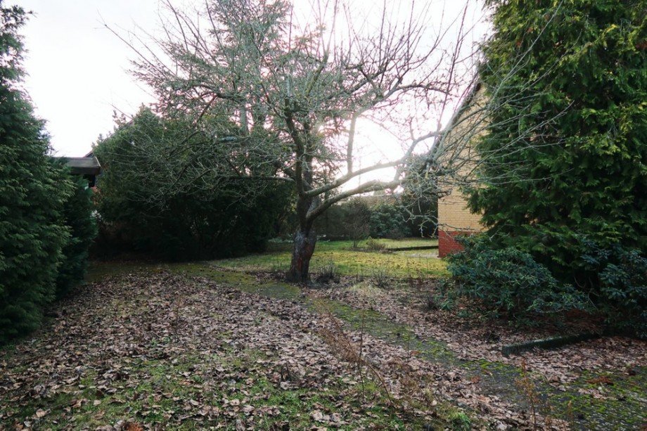 Garten Ost Einfamilienhaus Sassenburg