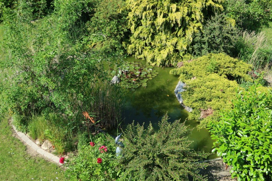 Gartenteich Einfamilienhaus Cremlingen OT Abbenrode