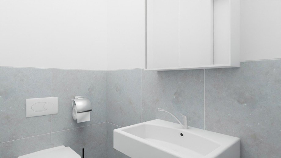 WC Etagenwohnung Wolfsburg